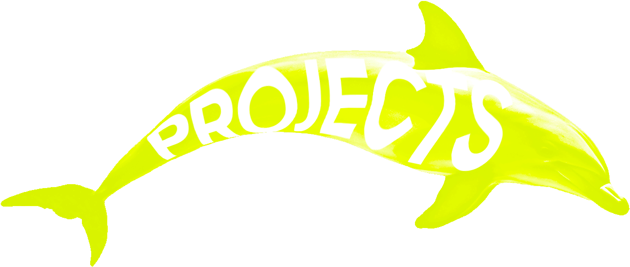 our webdesign projects